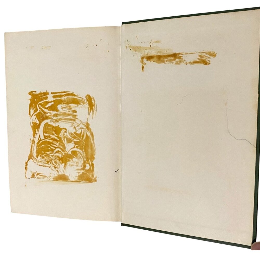 Double Play Hardcover Book Stephen R Lewinstein Baseball Sports Boys Young Adult - Picture 8 of 9